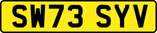 SW73SYV
