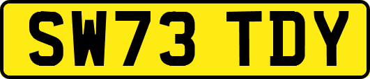 SW73TDY