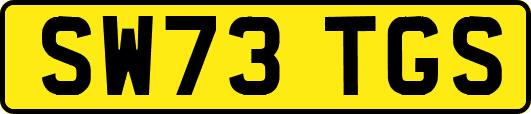 SW73TGS