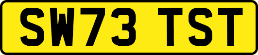SW73TST