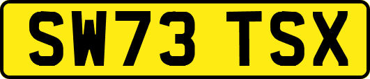 SW73TSX