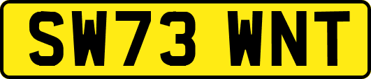 SW73WNT