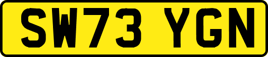 SW73YGN