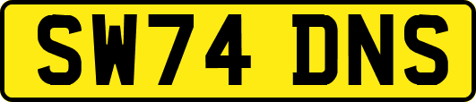 SW74DNS