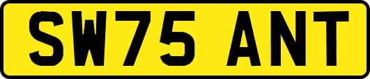 SW75ANT