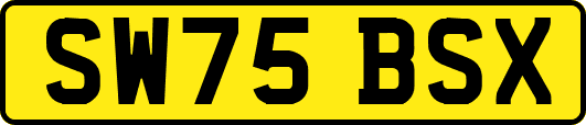 SW75BSX