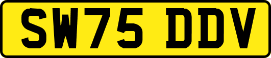 SW75DDV