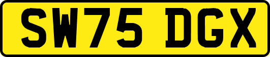 SW75DGX