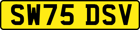 SW75DSV