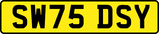 SW75DSY