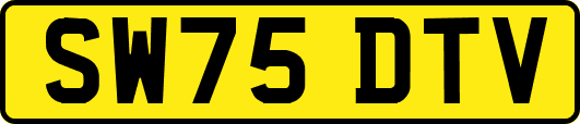 SW75DTV