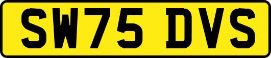 SW75DVS