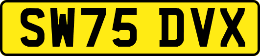 SW75DVX