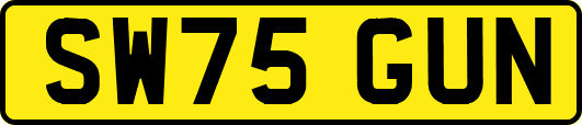 SW75GUN