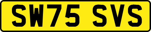SW75SVS