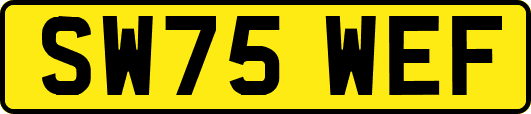 SW75WEF