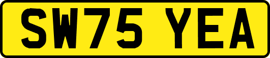SW75YEA