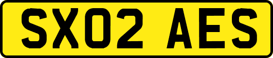SX02AES
