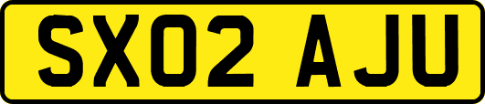 SX02AJU
