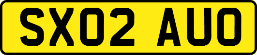 SX02AUO