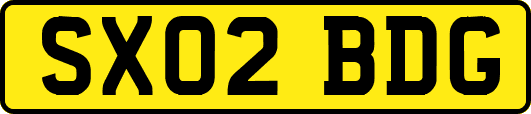 SX02BDG