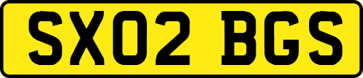 SX02BGS