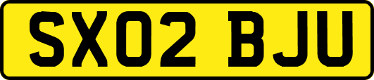 SX02BJU