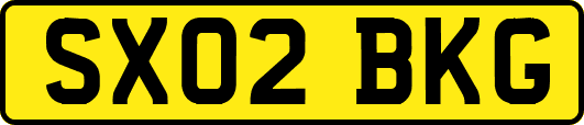 SX02BKG