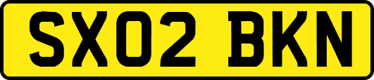 SX02BKN