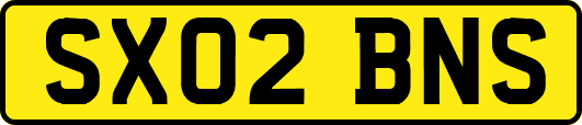 SX02BNS