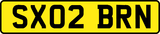SX02BRN