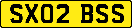 SX02BSS