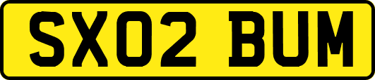 SX02BUM