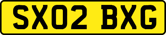 SX02BXG