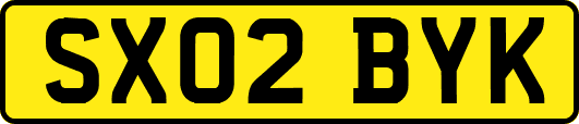 SX02BYK
