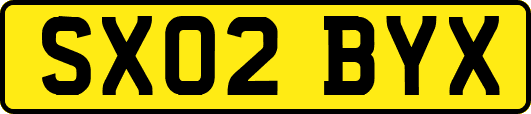 SX02BYX