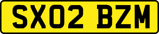 SX02BZM