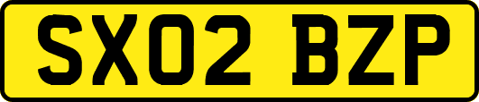 SX02BZP