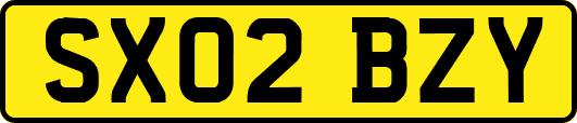 SX02BZY