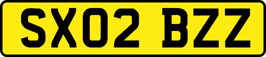SX02BZZ