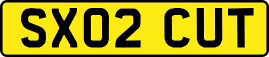 SX02CUT