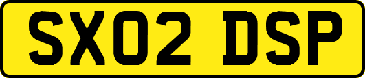 SX02DSP