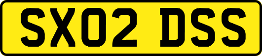 SX02DSS