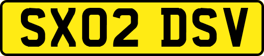 SX02DSV