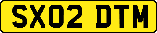 SX02DTM