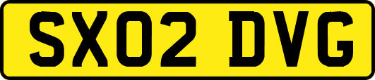 SX02DVG