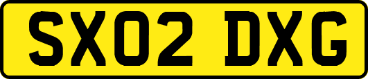 SX02DXG