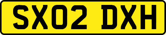 SX02DXH