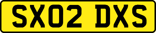 SX02DXS