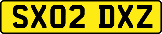 SX02DXZ